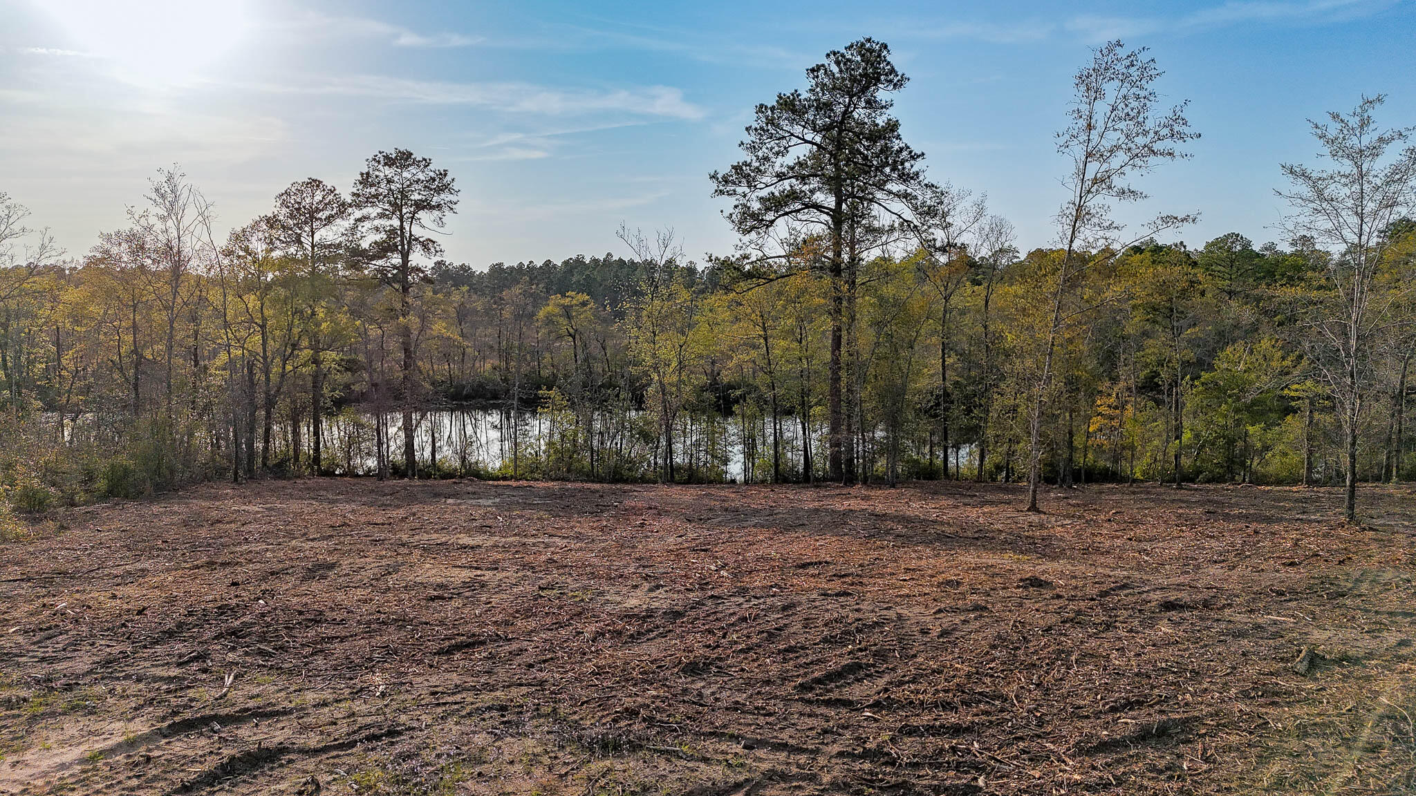 0 White Pond Road Williston, SC 29853 - Photo 7 of 16 White Pond Ridge Estate SC Land for Sale