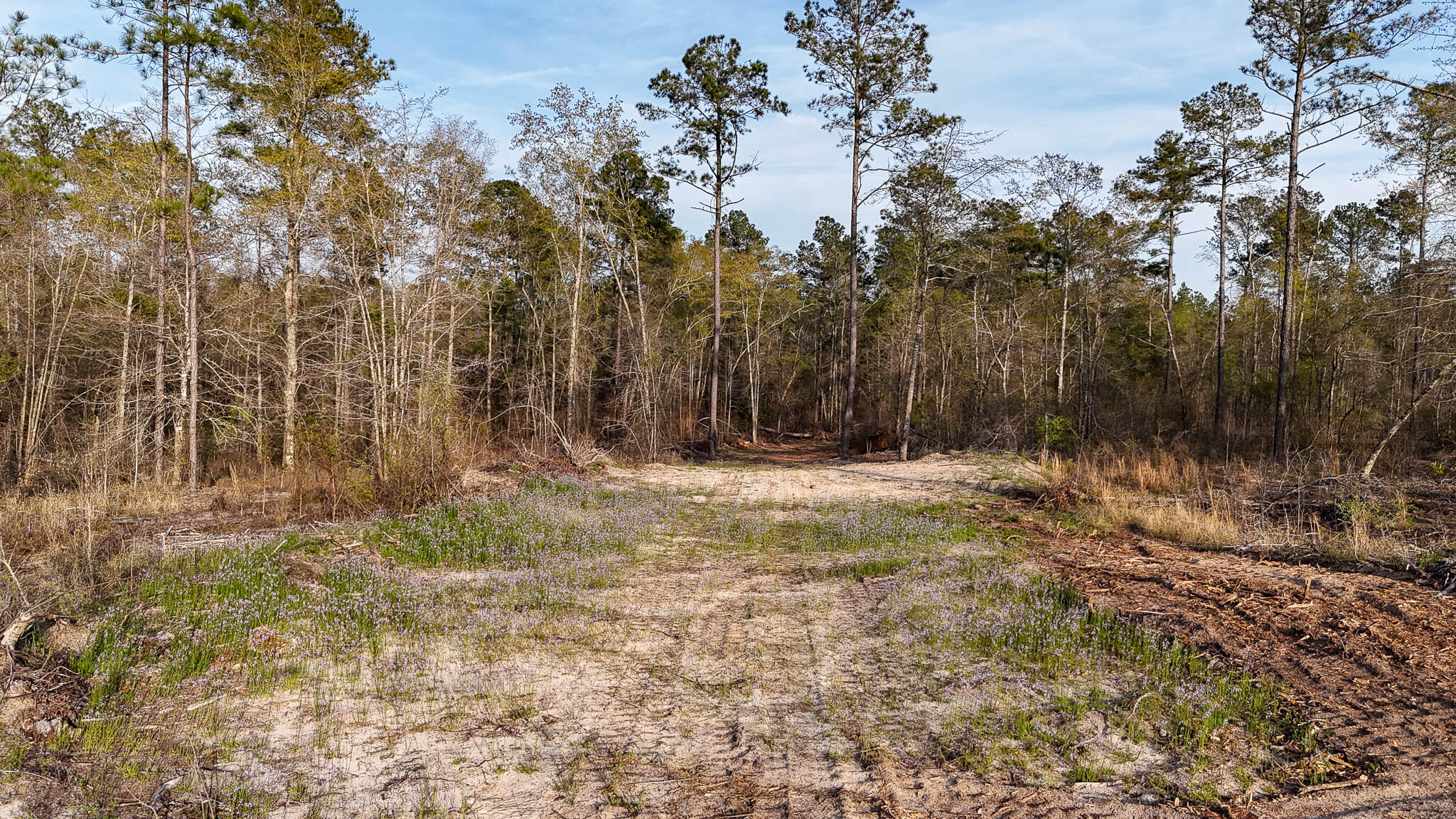 0 White Pond Road Williston, SC 29853 - Photo 8 of 16 White Pond Ridge Estate SC Land for Sale
