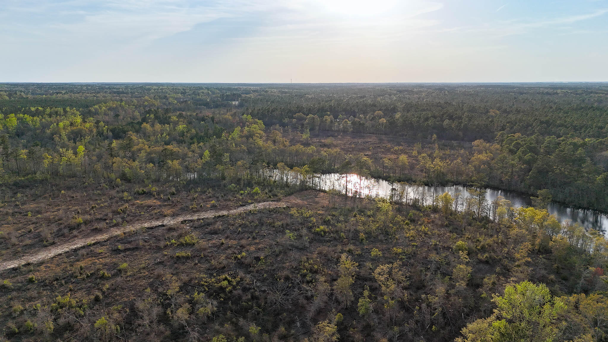 0 White Pond Road Williston, SC 29853 - Photo 10 of 16 White Pond Ridge Estate SC Land for Sale
