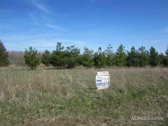 0 Lot Croswell, MI 48422 - Photo 1 of 1 911099.JPG