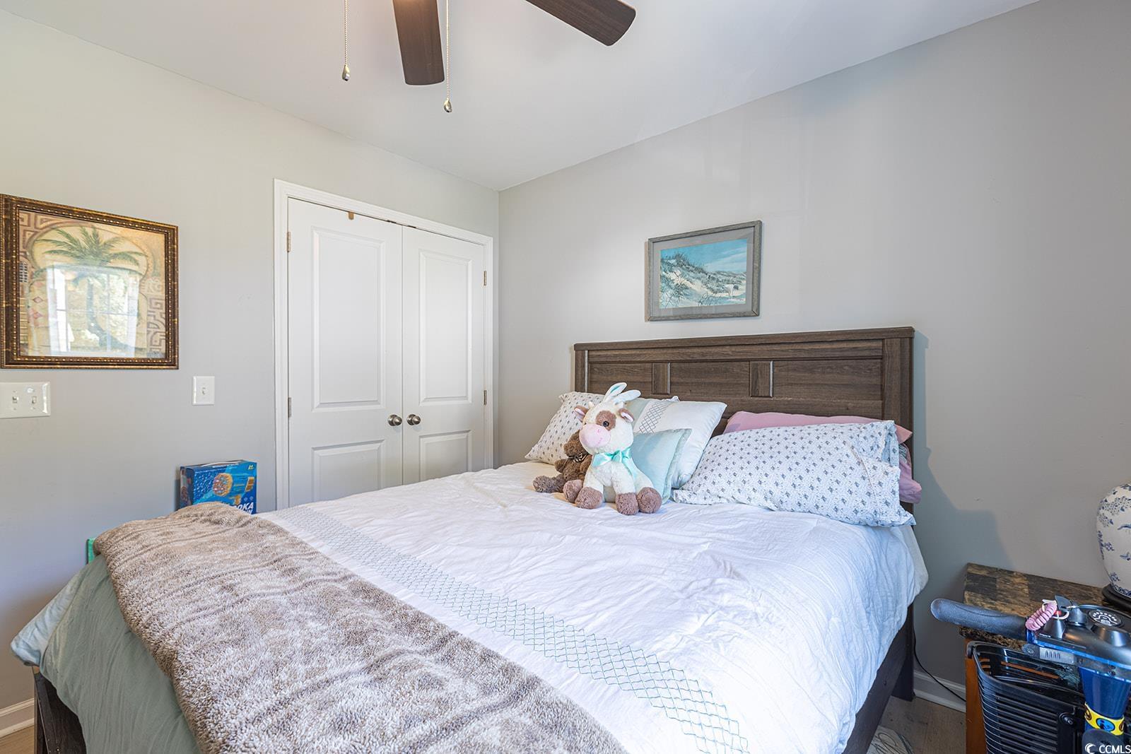 189 Hamilton Way Conway, SC 29526 - Photo 23 of 40 Bedroom with ceiling fan and a closet