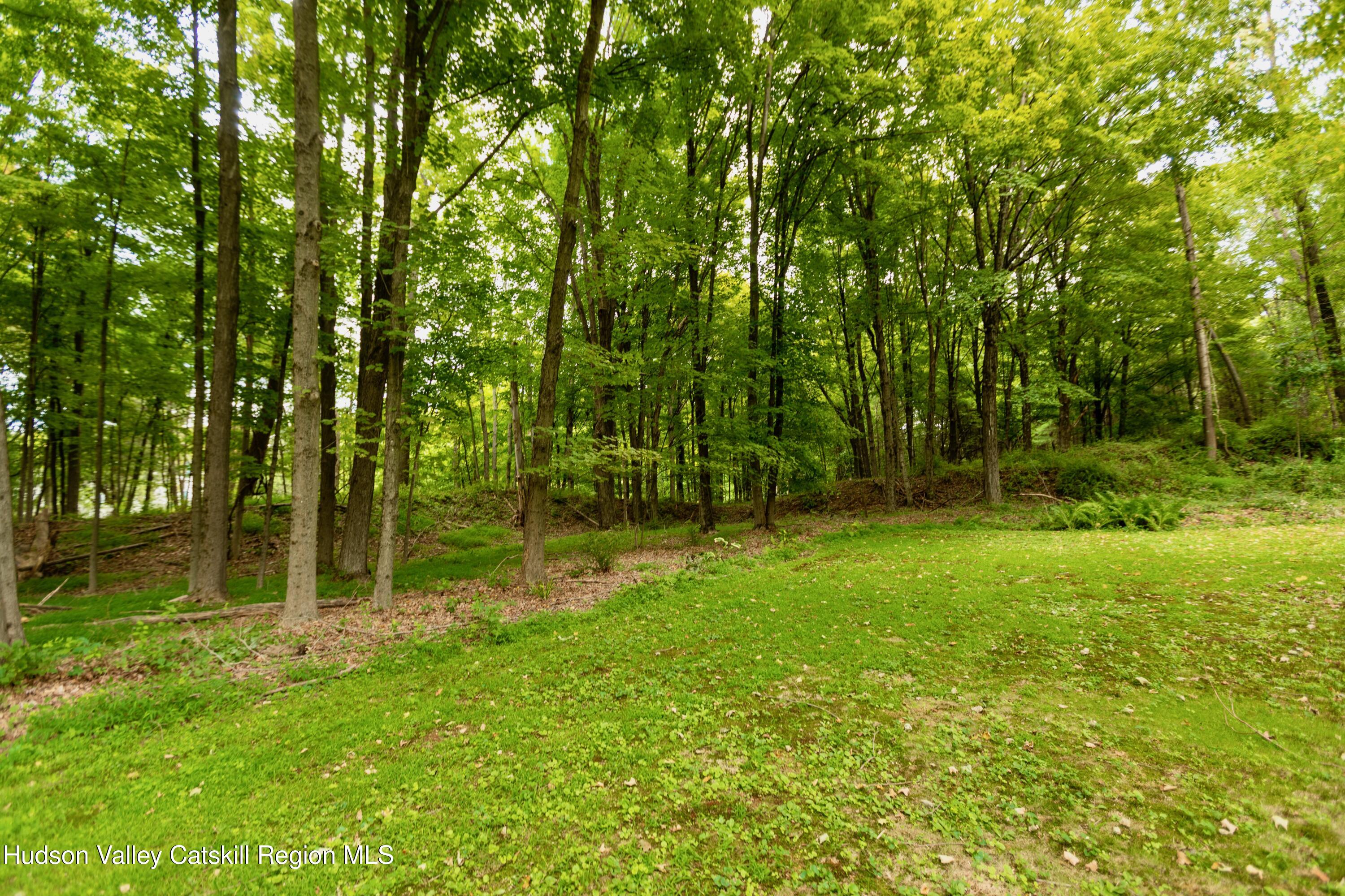 424 Tongore Way Kingston, NY 12401 - Photo 30 of 40 a view of a backyard with large trees