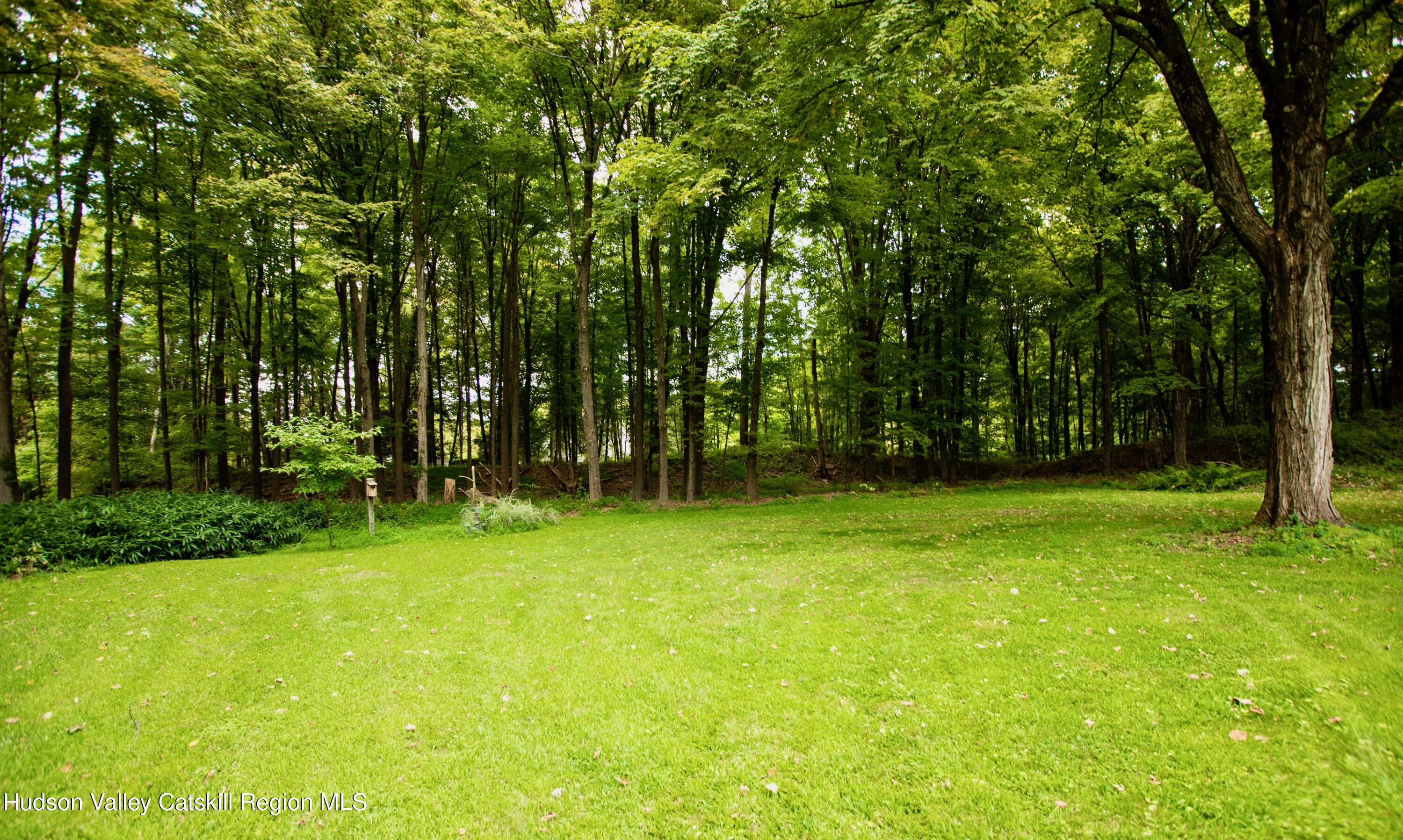 424 Tongore Way Kingston, NY 12401 - Photo 31 of 40 a view of field with trees in the background