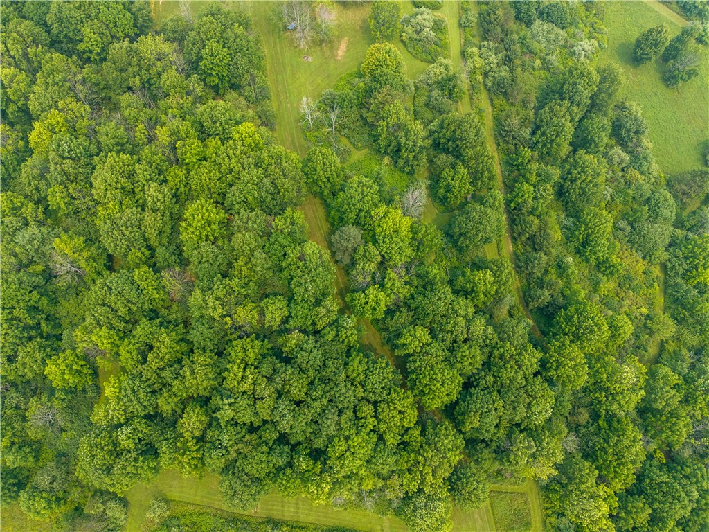 2571 Delude Road Dalton, NY 14836 - Photo 14 of 48