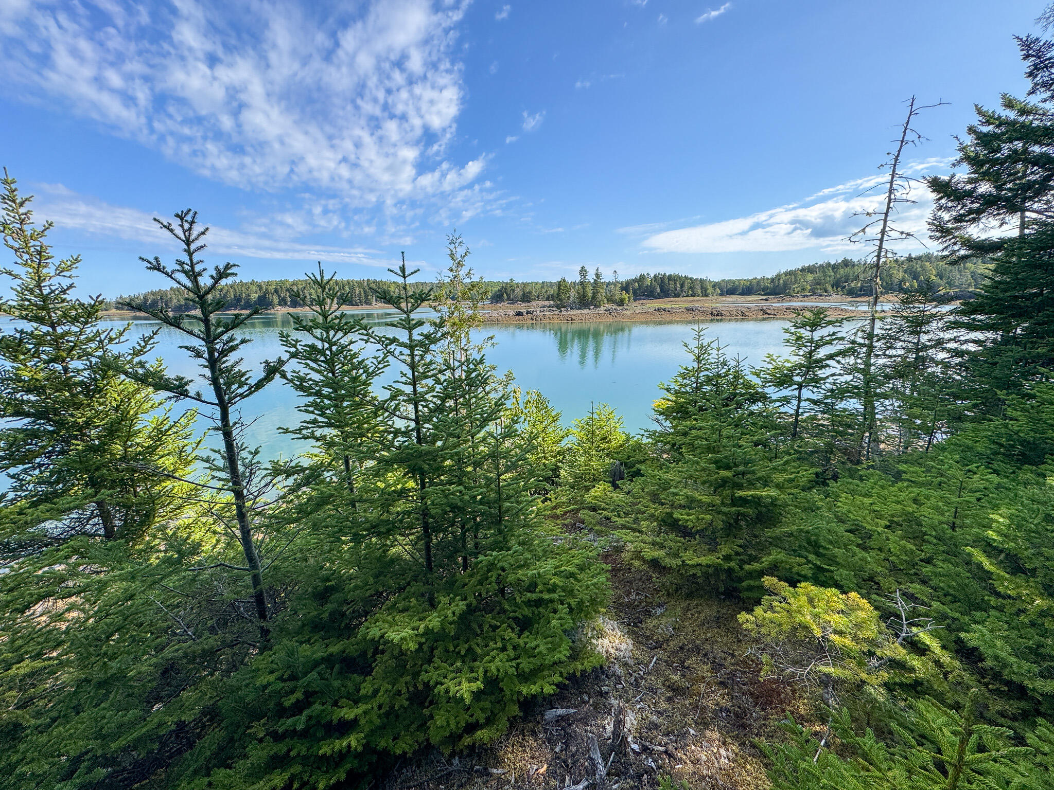 255 Coffins Neck Road Lubec, ME 04652 - Photo 10 of 37 10