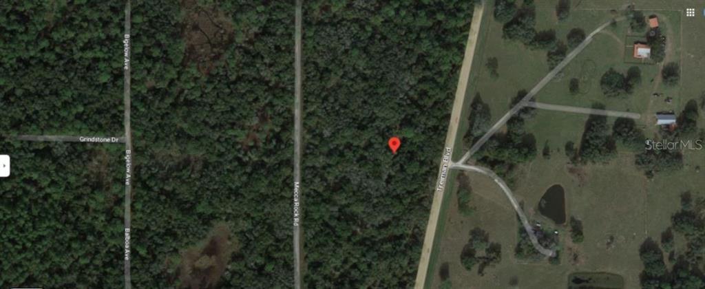 Treiman Boulevard Webster, FL 33597 - Photo 4 of 6