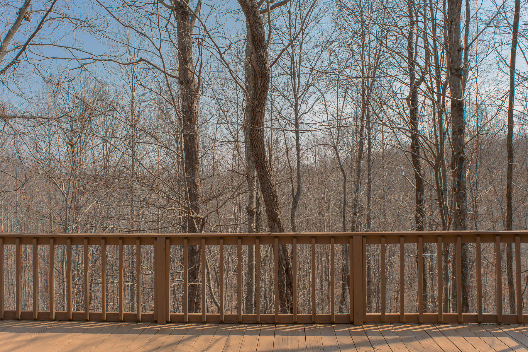 706 Old Sewanee Road Sewanee, TN 37375 - Photo 12 of 39 Deck