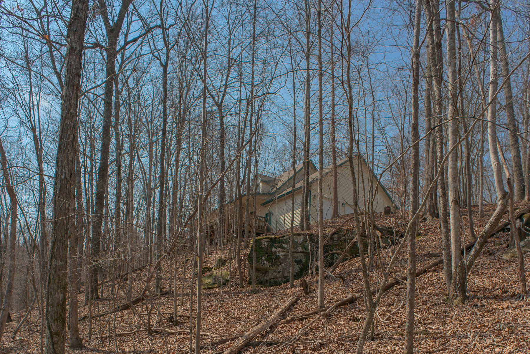 706 Old Sewanee Road Sewanee, TN 37375 - Photo 28 of 39 Woods