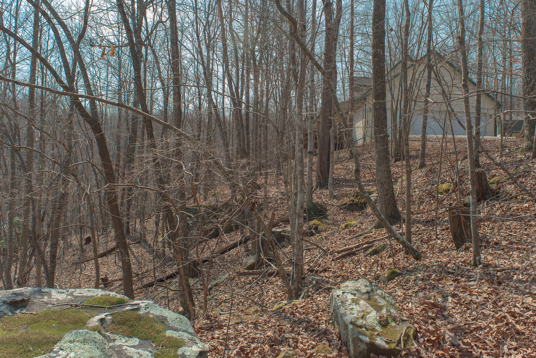706 Old Sewanee Road Sewanee, TN 37375 - Photo 33 of 39 Woods