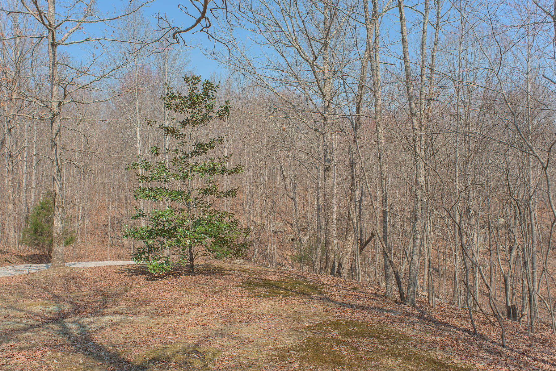 706 Old Sewanee Road Sewanee, TN 37375 - Photo 34 of 39 Land