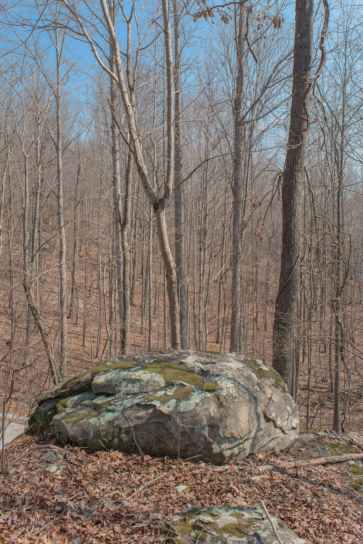 706 Old Sewanee Road Sewanee, TN 37375 - Photo 35 of 39 Land
