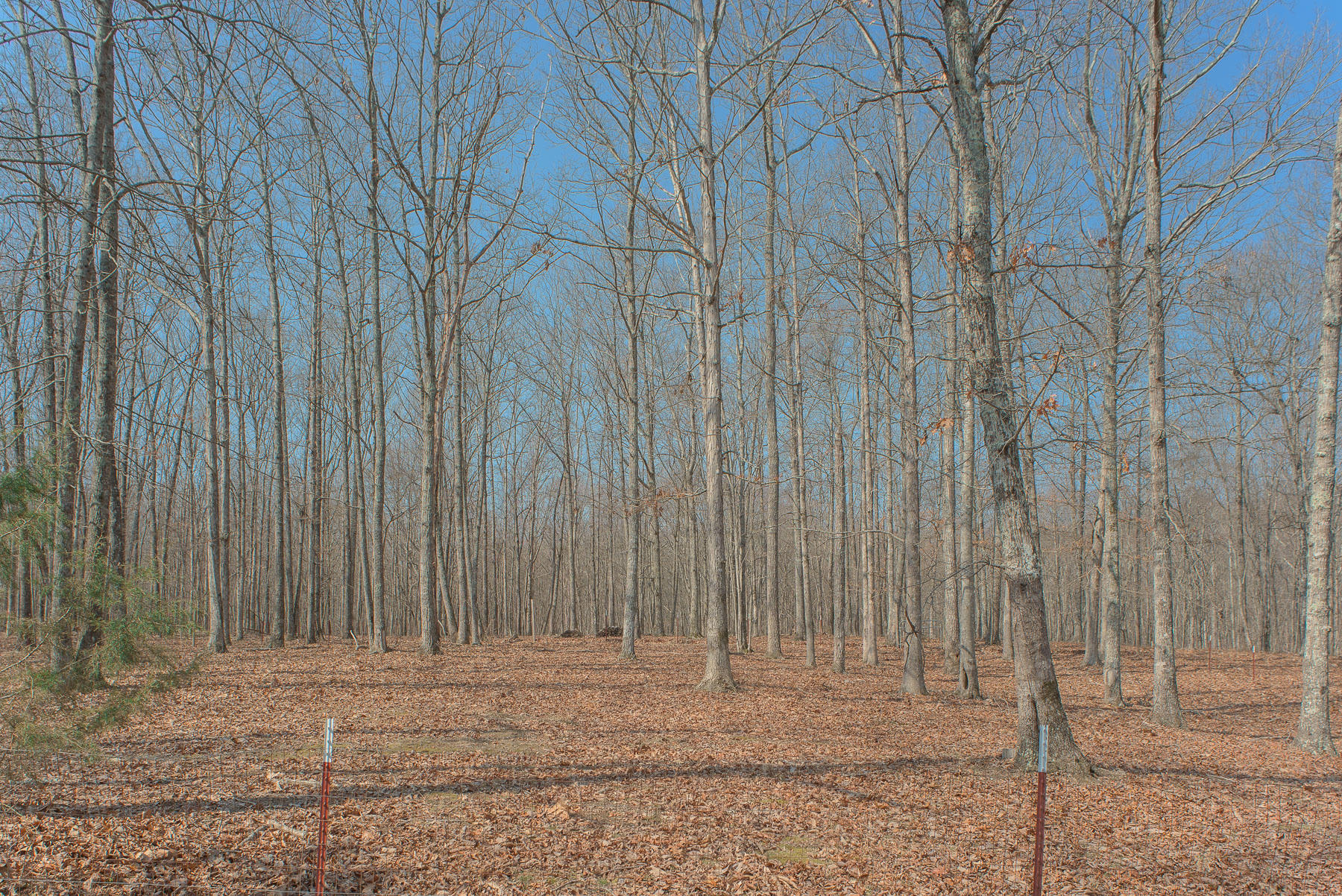 706 Old Sewanee Road Sewanee, TN 37375 - Photo 37 of 39 Land