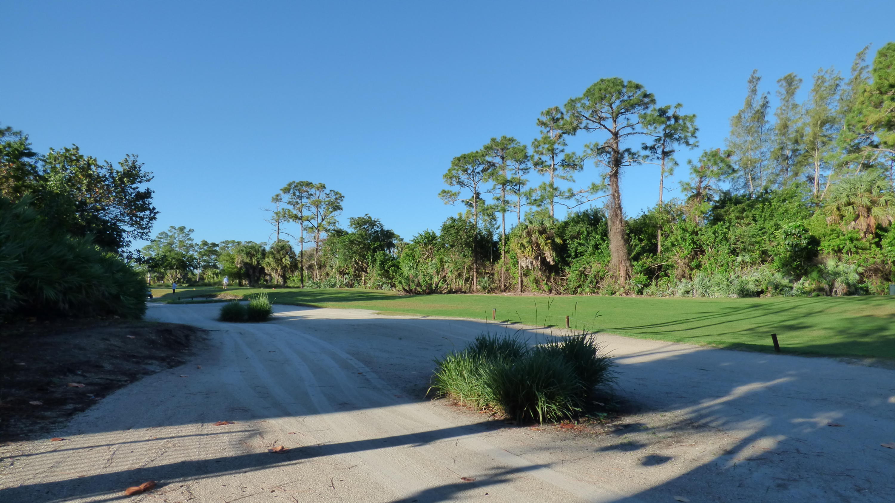 2252 Ridgewood Circle Royal Palm Beach, FL 33411 - Photo 38 of 40 a view of a garden with a tree