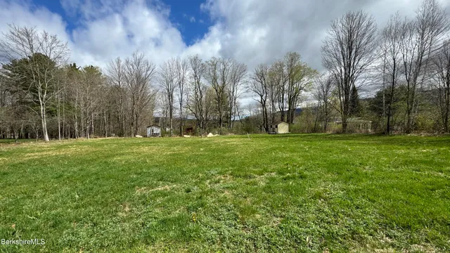 a view of garden with trees