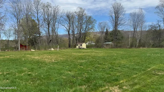 a view of a park with large trees