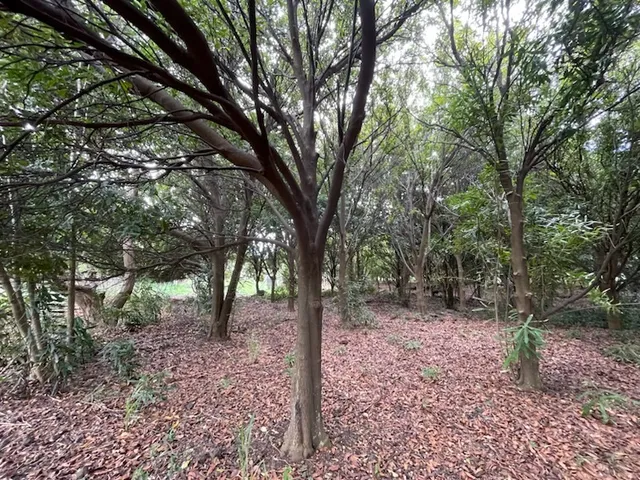 $40,000 | 3 Puka Street, Naalehu, HI 96772