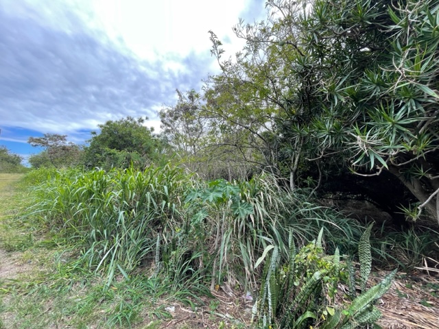 3 Puka Street Naalehu, HI 96772 - Photo 3 of 3