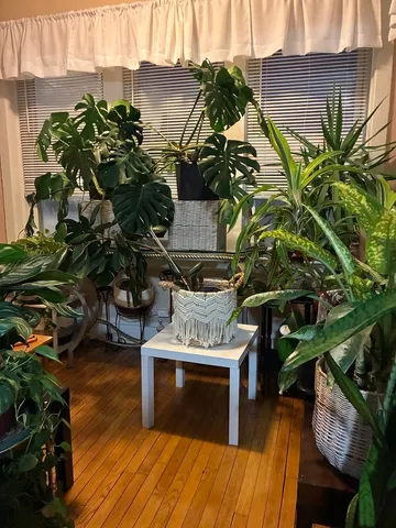 $549,999 | 340 South Homan Avenue, Chicago, IL 60624