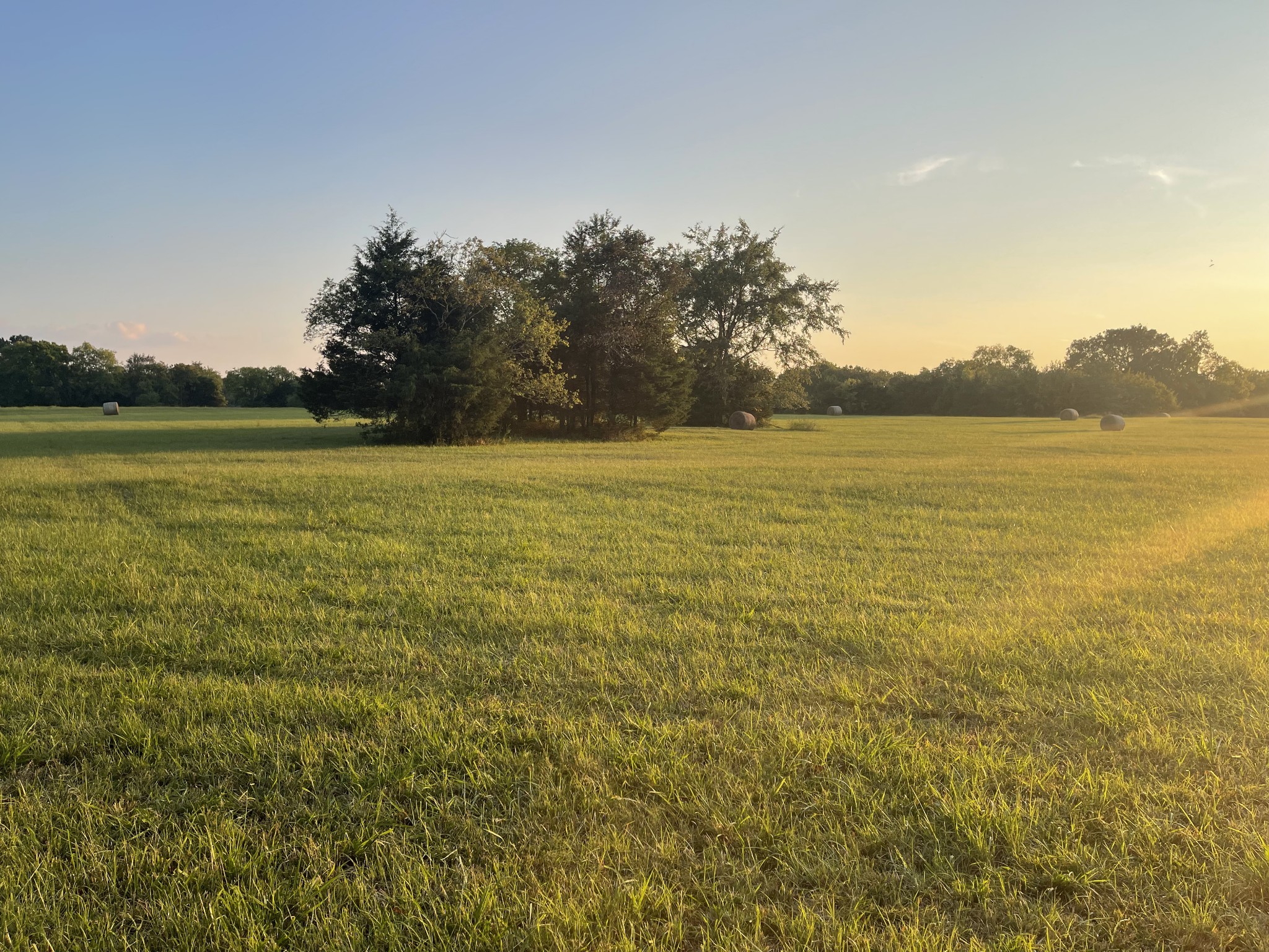 3 Parsons Road Christiana, TN 37037 - Photo 4 of 5 Gallery Image 4