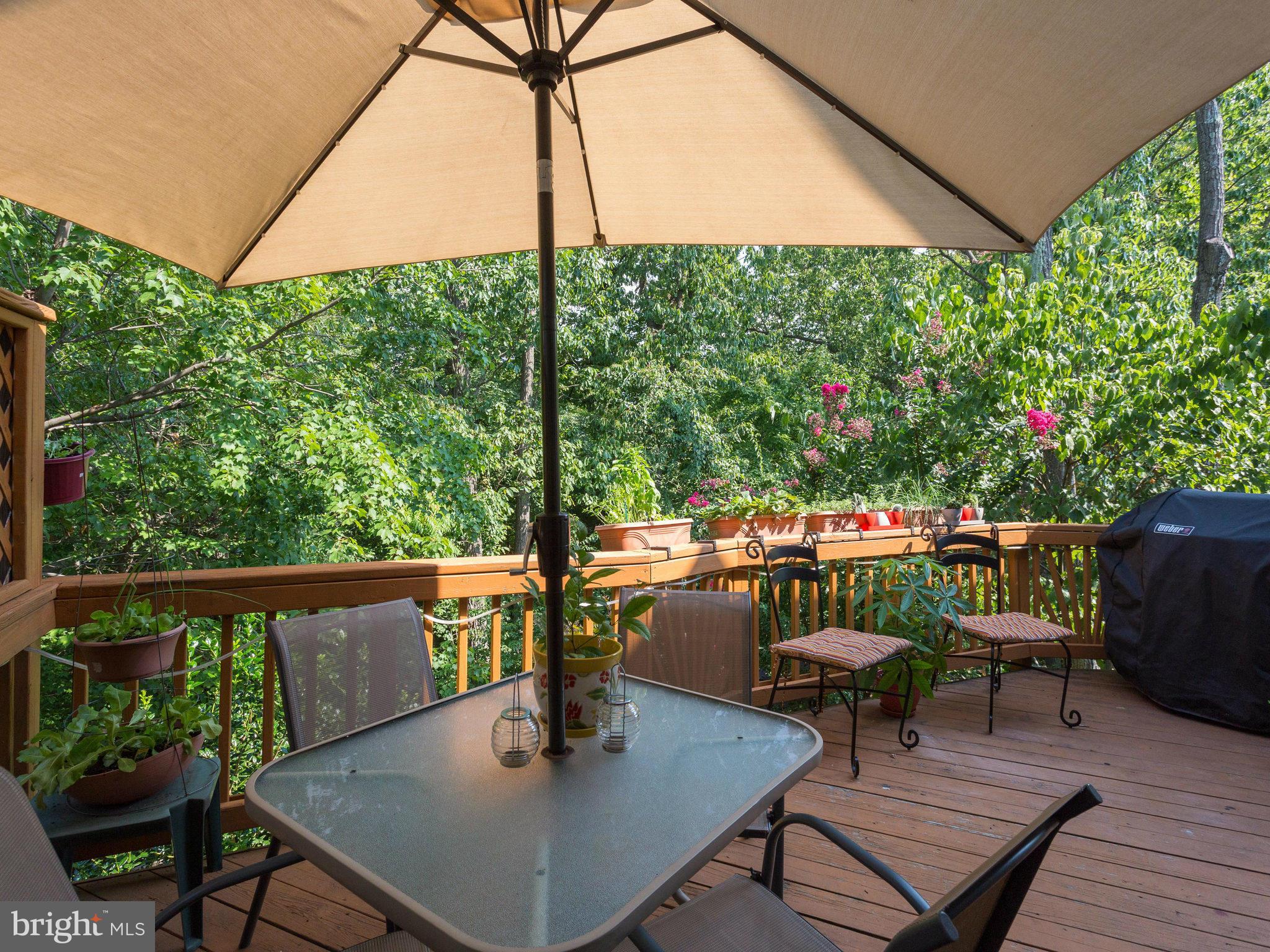 6667 Debra Lu Way Springfield, VA 22150 - Photo 11 of 30 Stunning Views From the Deck!