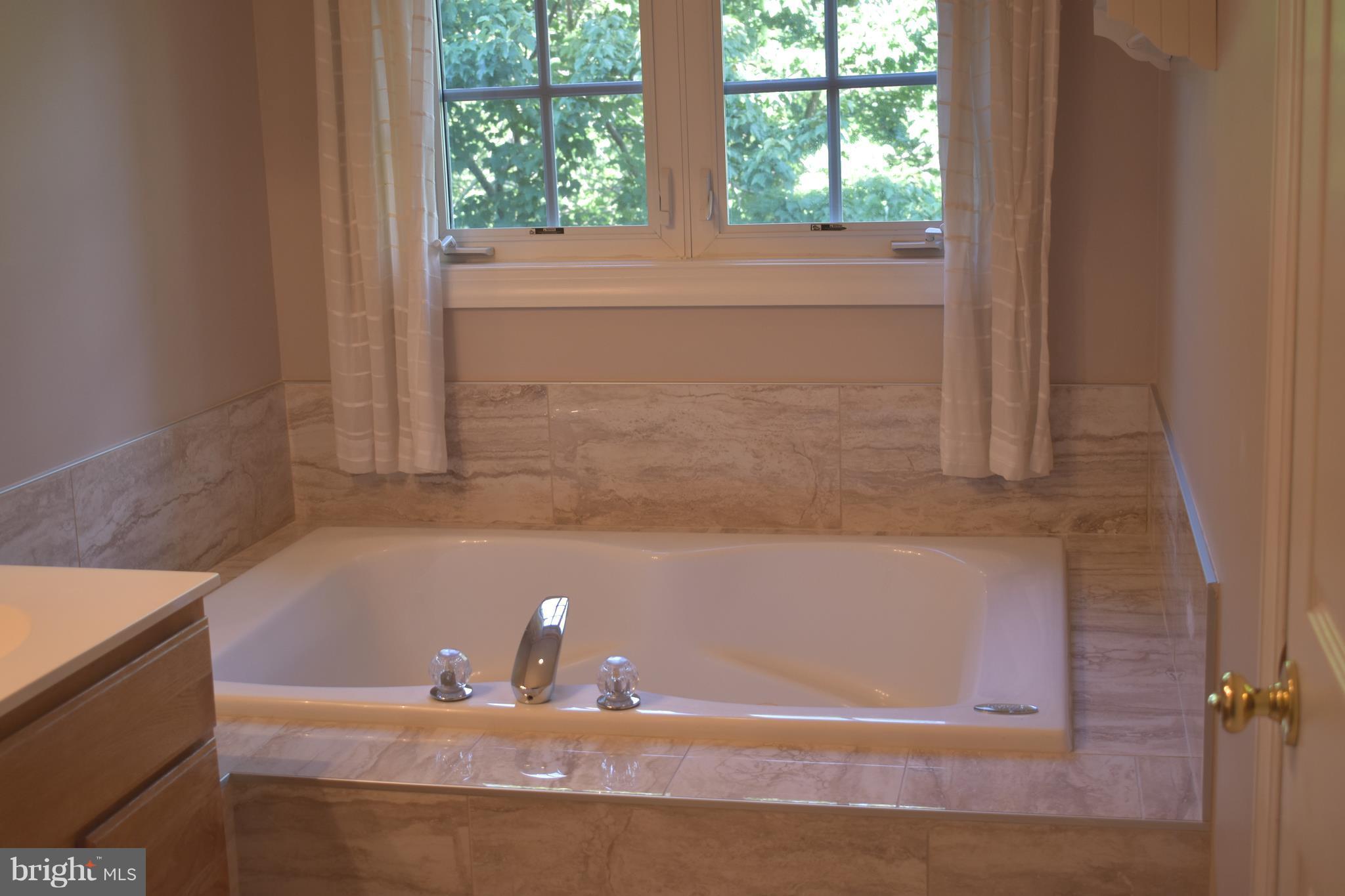 6667 Debra Lu Way Springfield, VA 22150 - Photo 15 of 30 Separate Soaking Tub & Shower