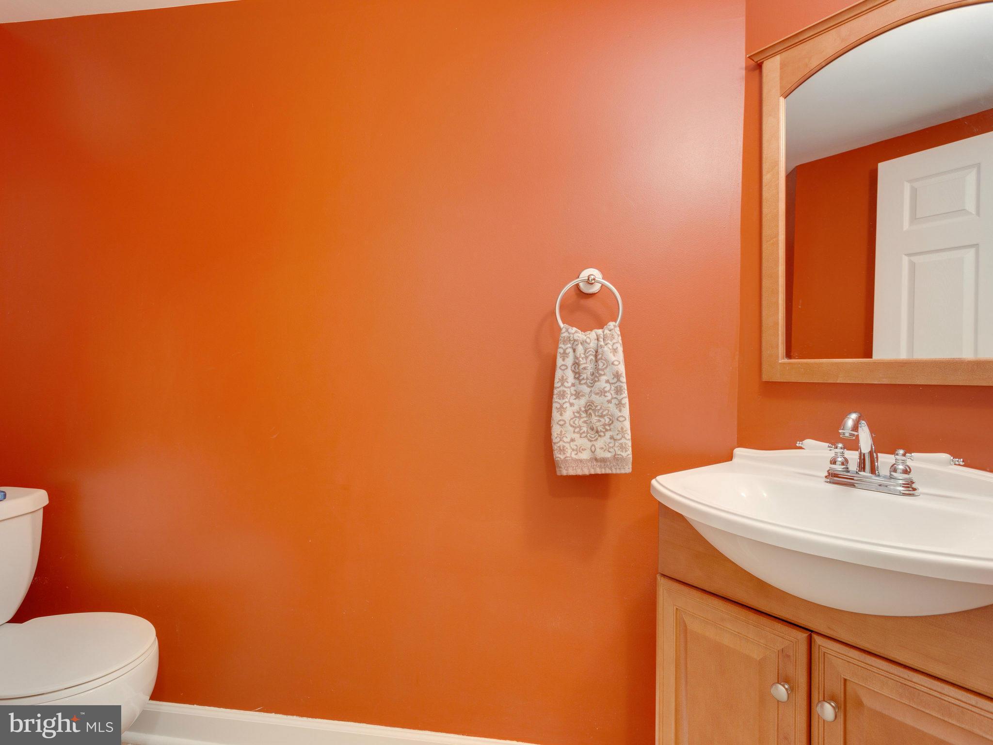 6667 Debra Lu Way Springfield, VA 22150 - Photo 22 of 30 Lower Level Large Bath
