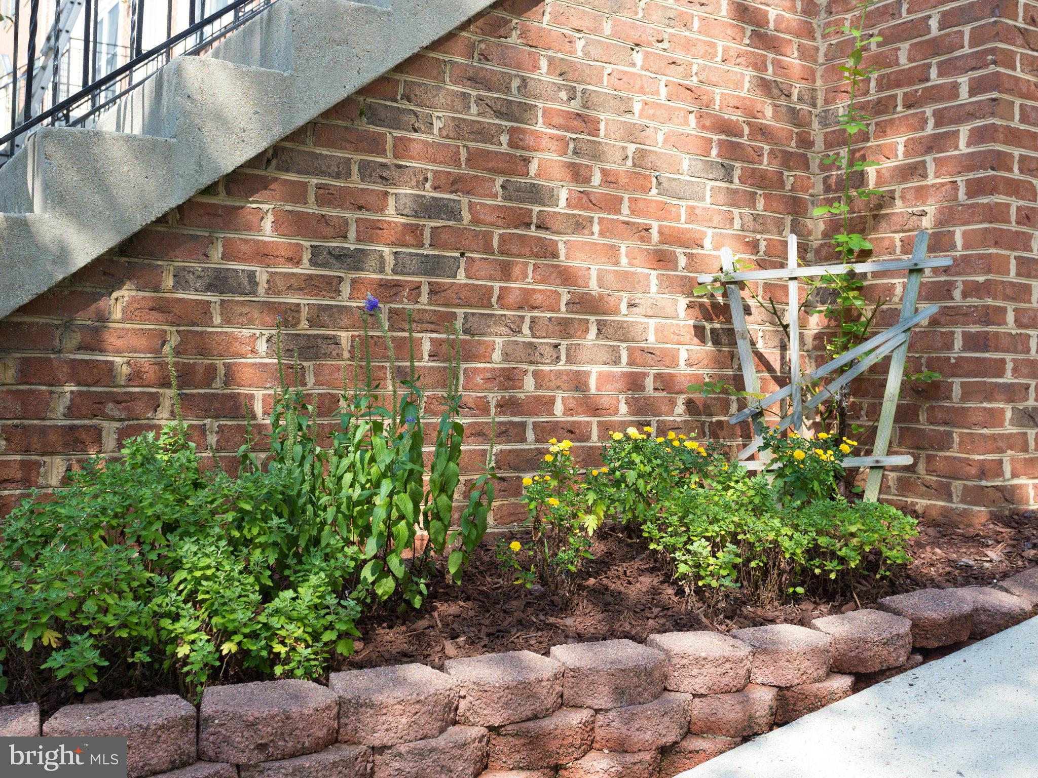 6667 Debra Lu Way Springfield, VA 22150 - Photo 24 of 30 Gorgeous Flowers!