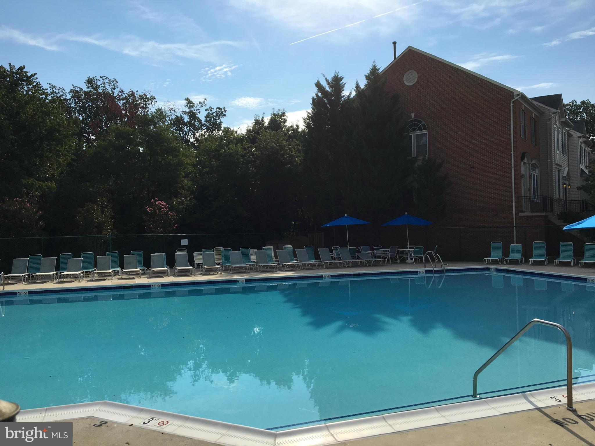 6667 Debra Lu Way Springfield, VA 22150 - Photo 27 of 30 Beautiful Pool w/youth pool also!