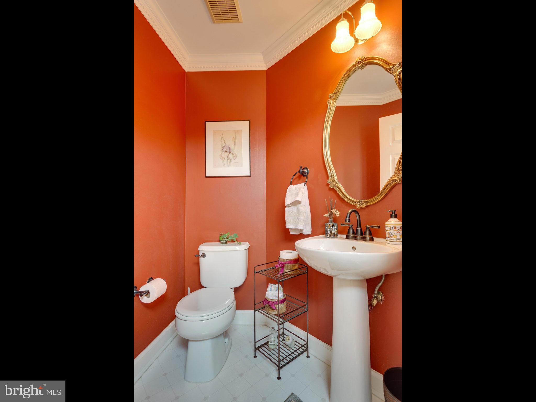6667 Debra Lu Way Springfield, VA 22150 - Photo 4 of 30 Main Level Bath!