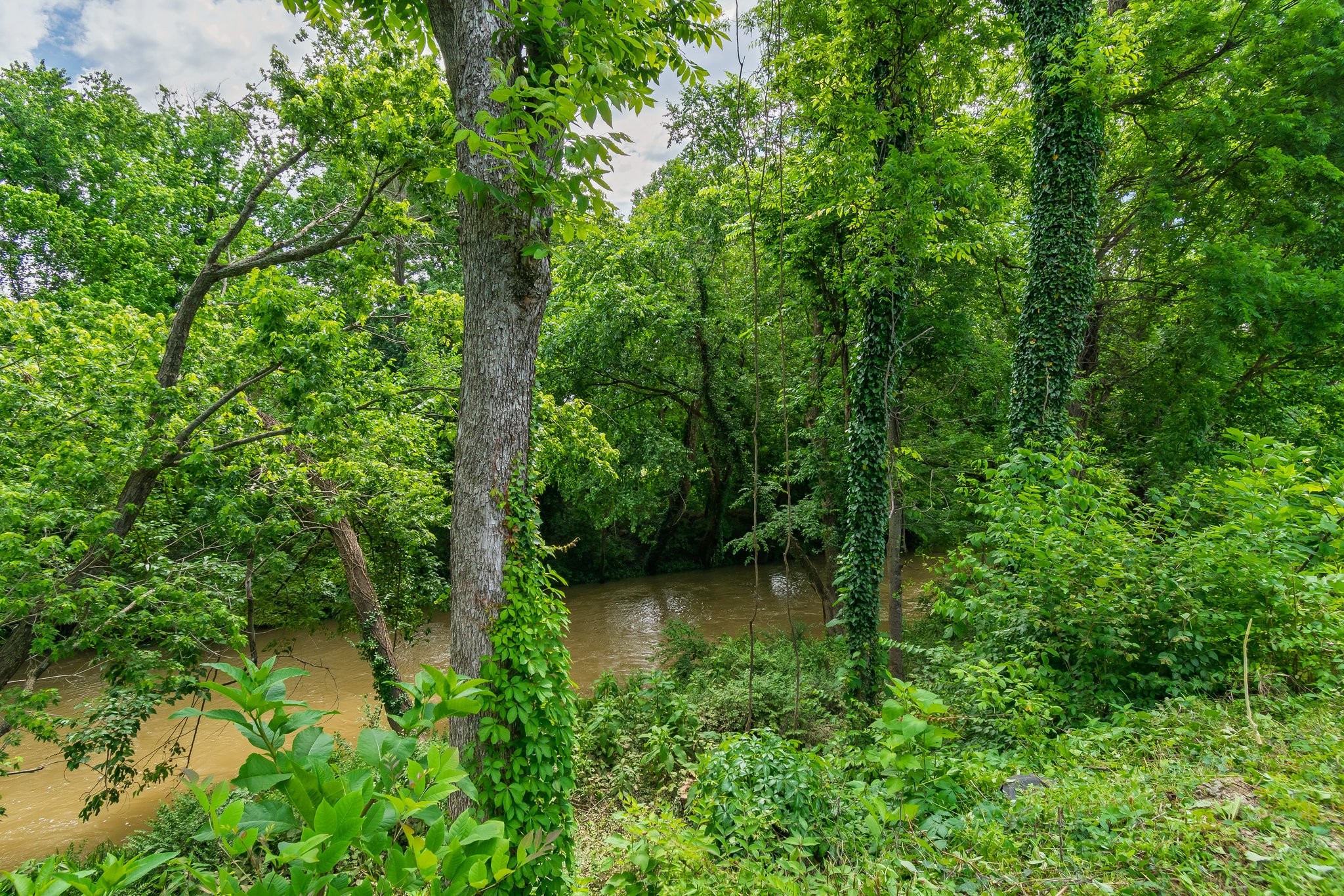 106 Bridge Street Franklin, TN 37064 - Photo 14 of 16 a view of a green field