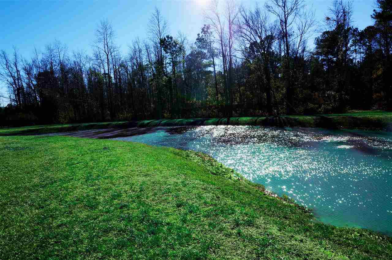 1376 Deppe Loop Road Maysville, NC 28555 - Photo 14 of 15 Additional Photo