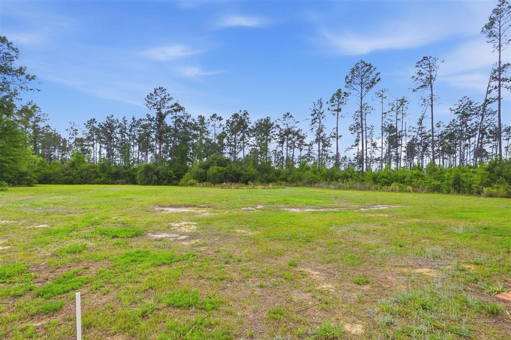 335 Storozyszyn Road Deridder, LA 70634 - Photo 18 of 19