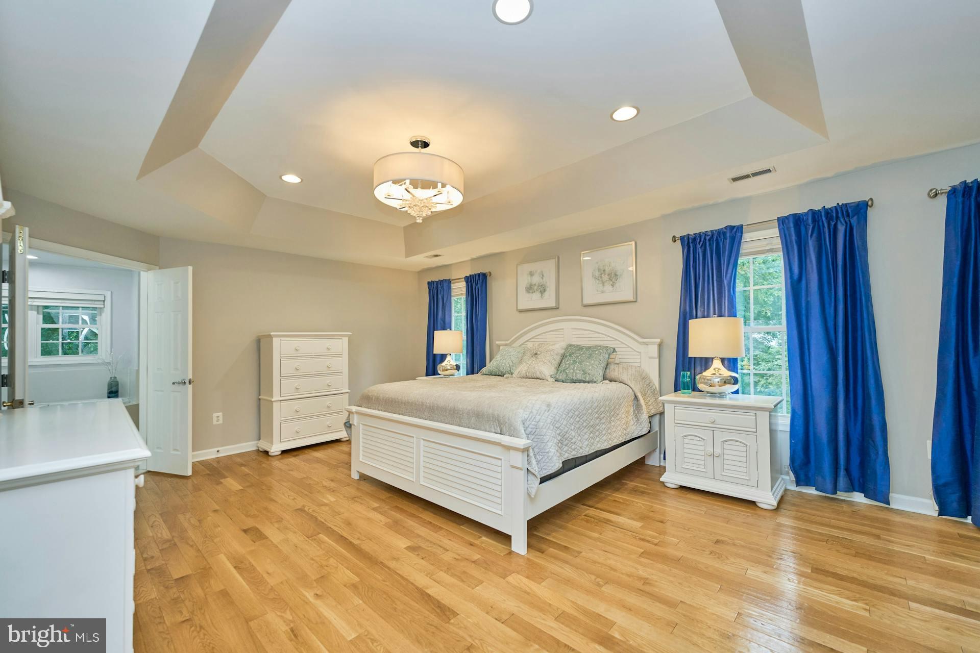 413 Adahi Road Southeast Vienna, VA 22180 - Photo 23 of 62 Primary Bedroom w/Trey Ceiling