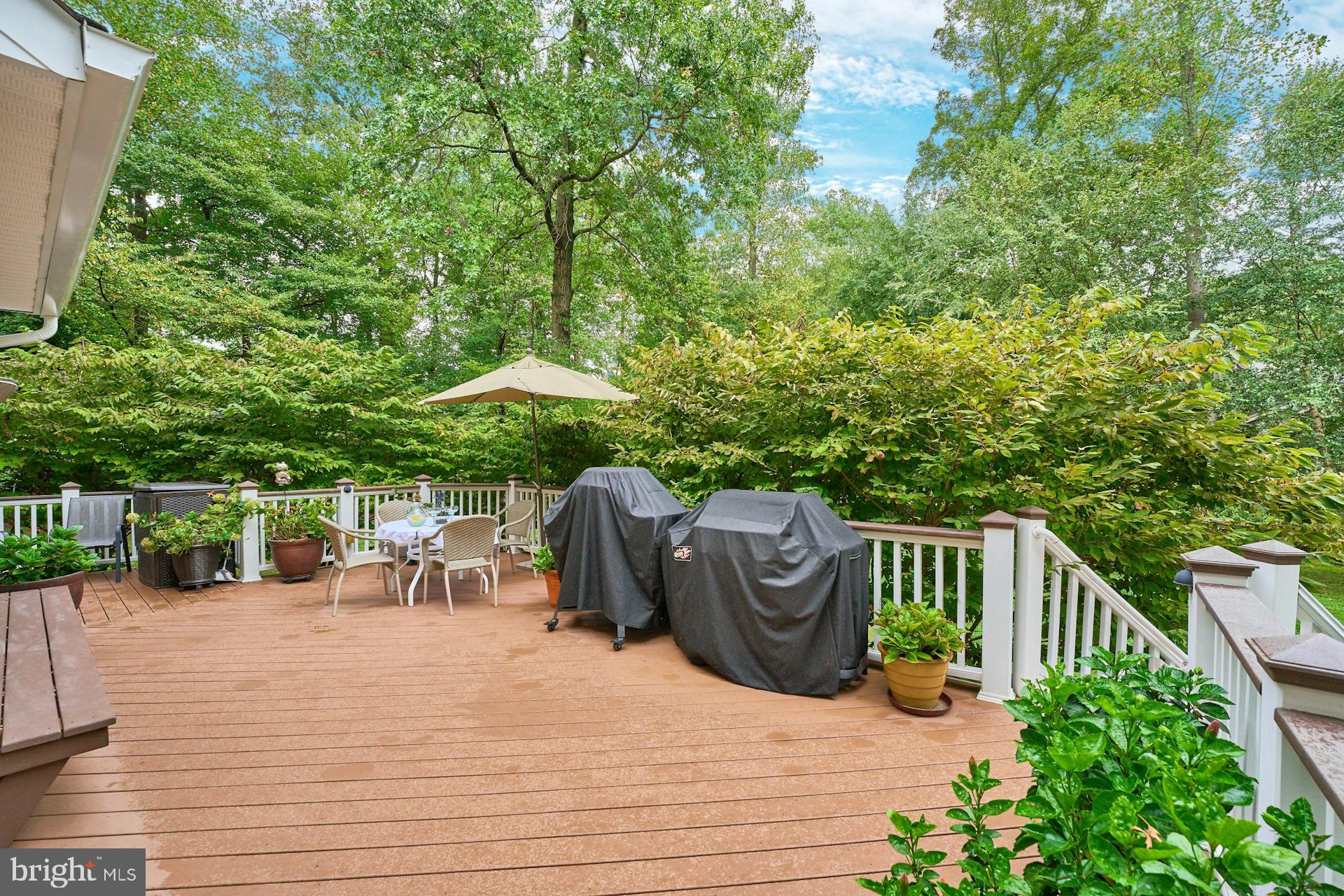 413 Adahi Road Southeast Vienna, VA 22180 - Photo 48 of 62 Gallery Image 48