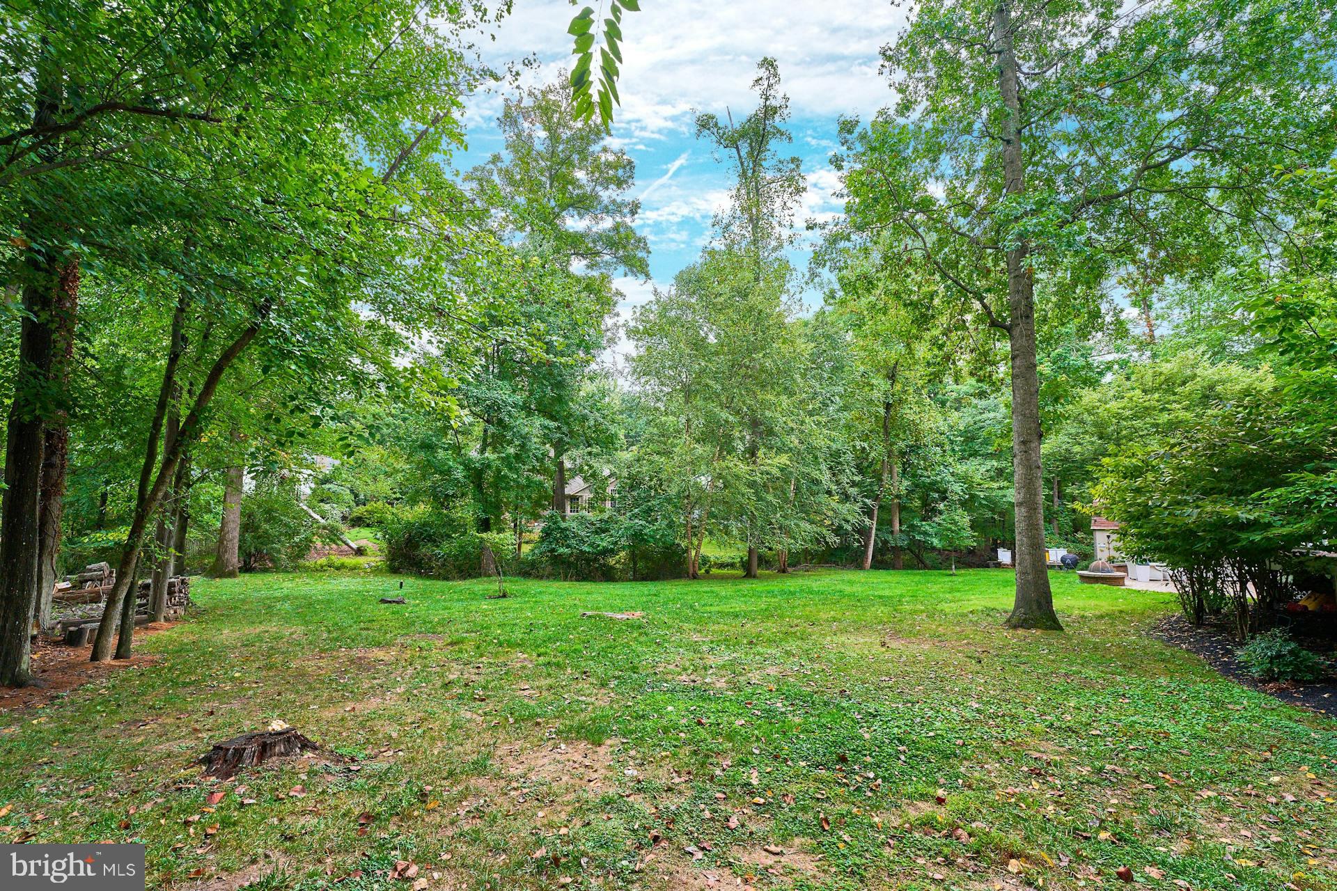 413 Adahi Road Southeast Vienna, VA 22180 - Photo 54 of 62 Gallery Image 54