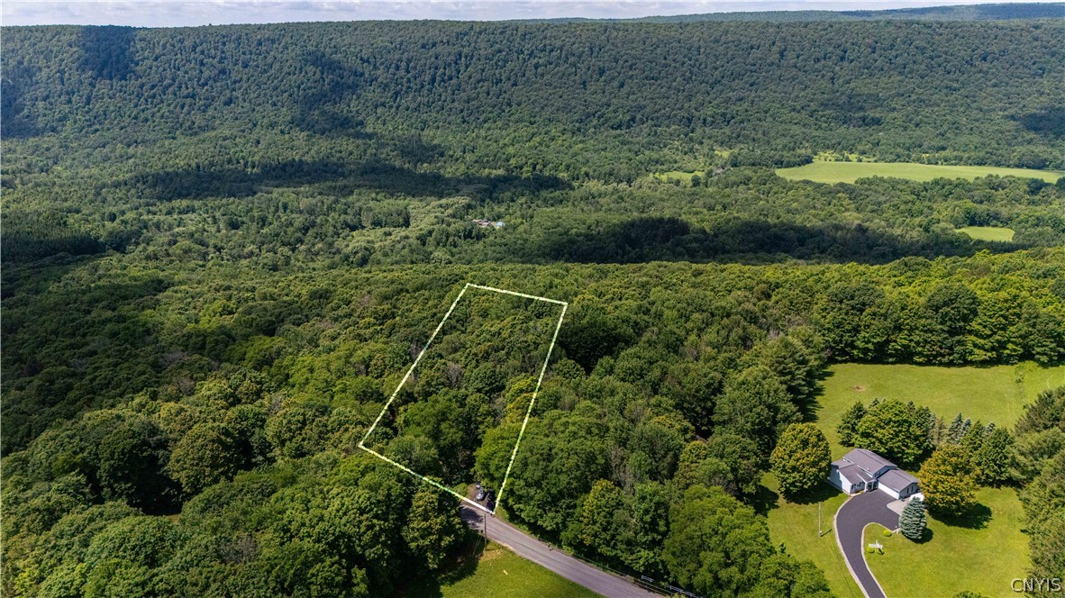 374 Strong Road Tully, NY 13159 - Photo 43 of 48