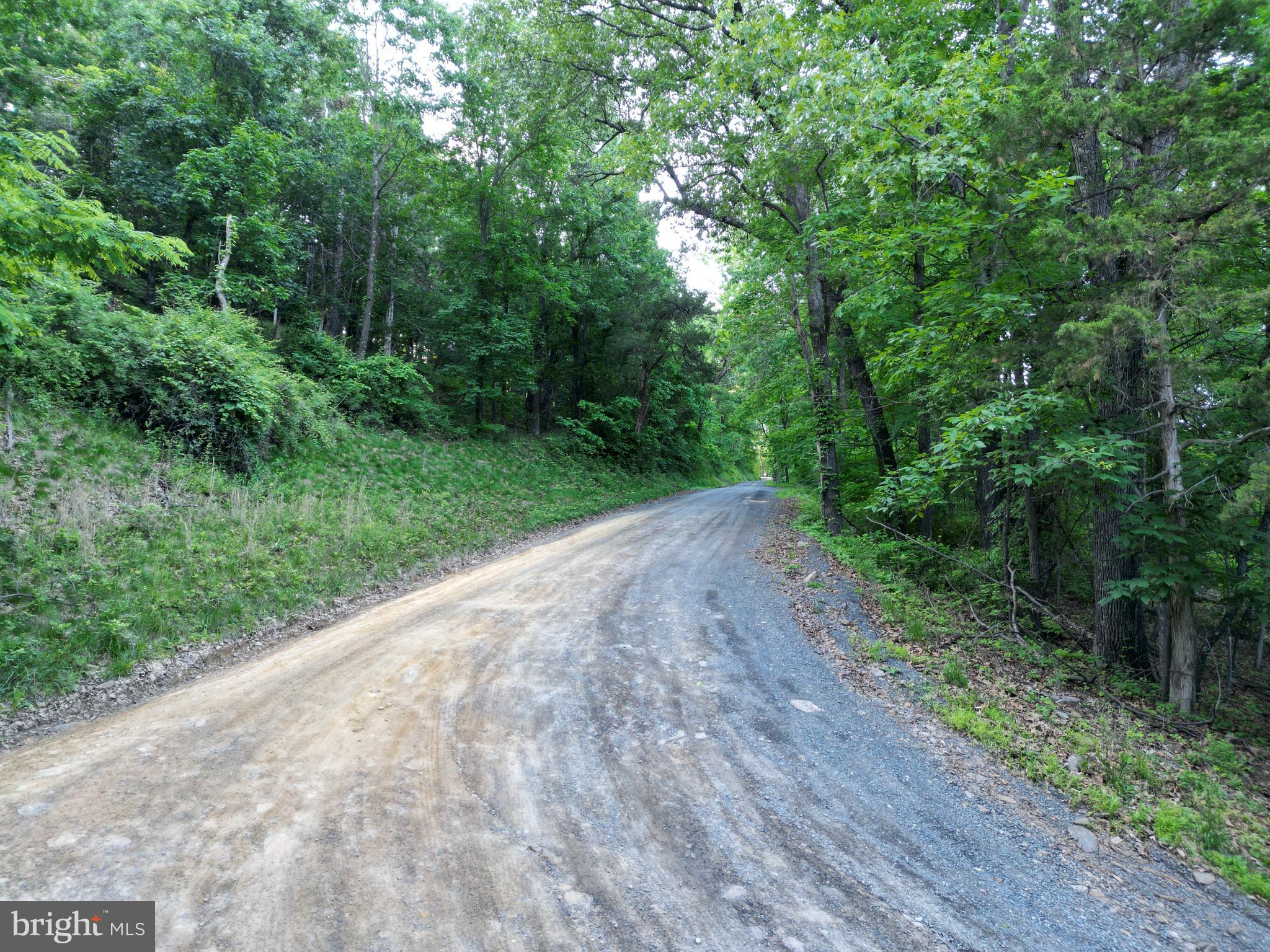 Tbd Rolly Road Mount Jackson, VA 22842 - Photo 15 of 20