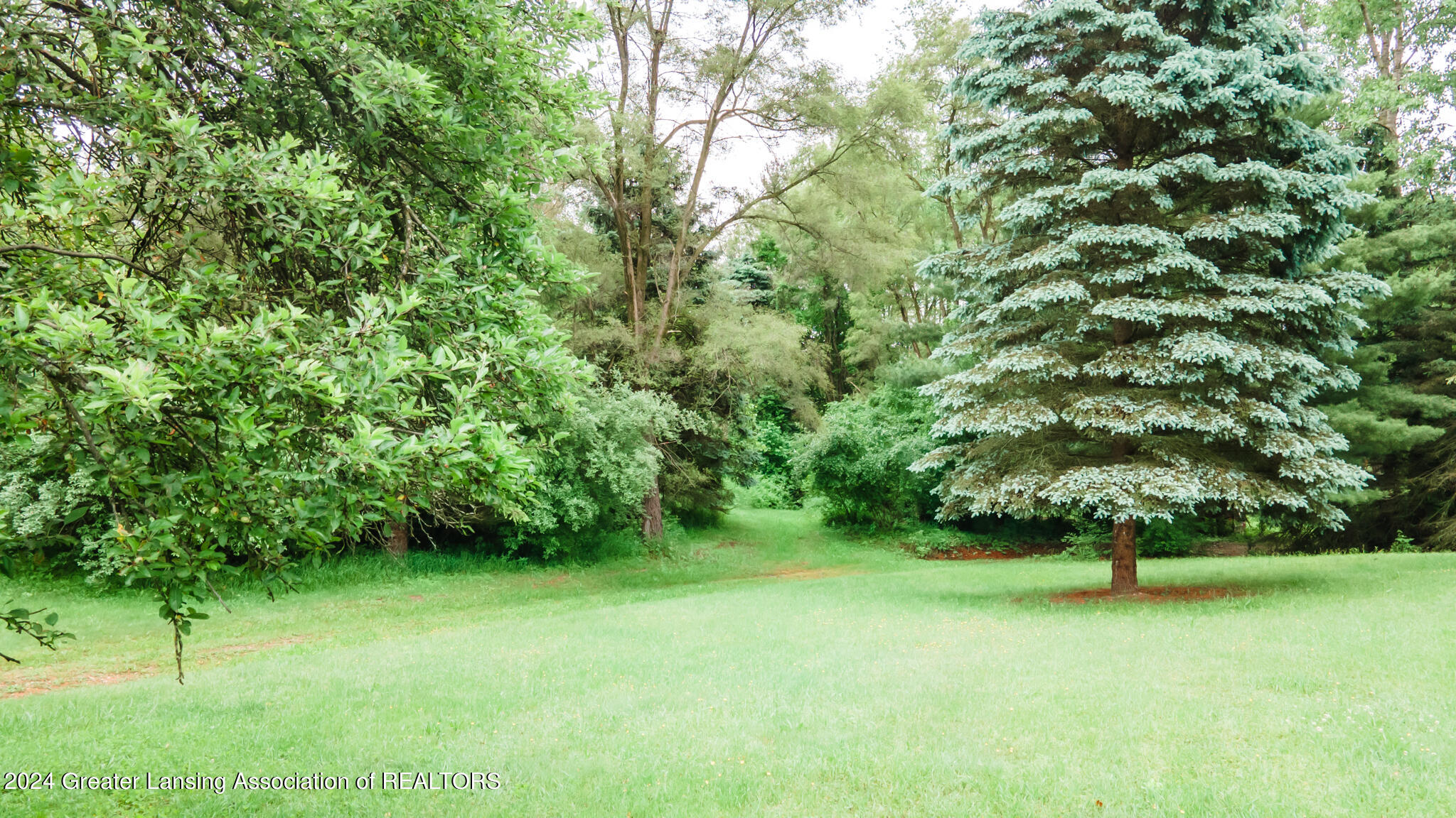 9040 Coleman Road Haslett, MI 48840 - Photo 47 of 52 9040COLEMAN49