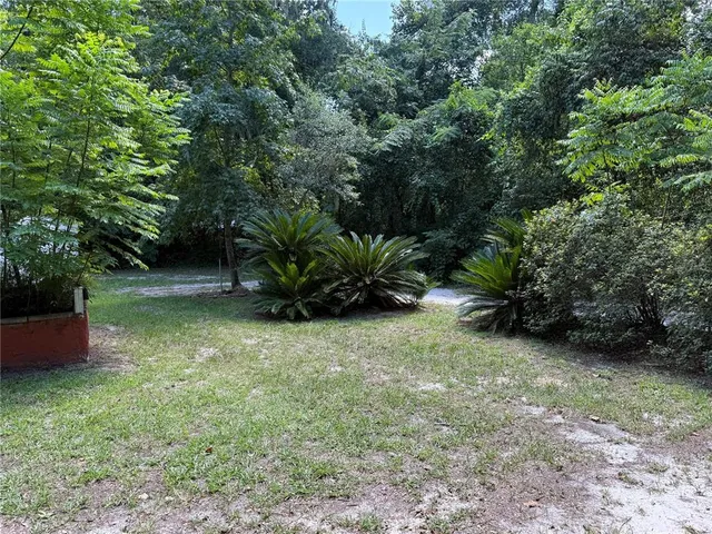 a view of a backyard