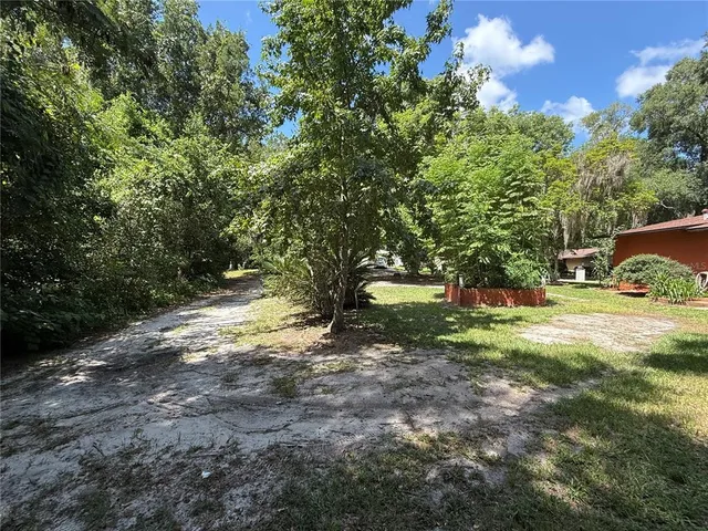 a view of a yard with plants and trees