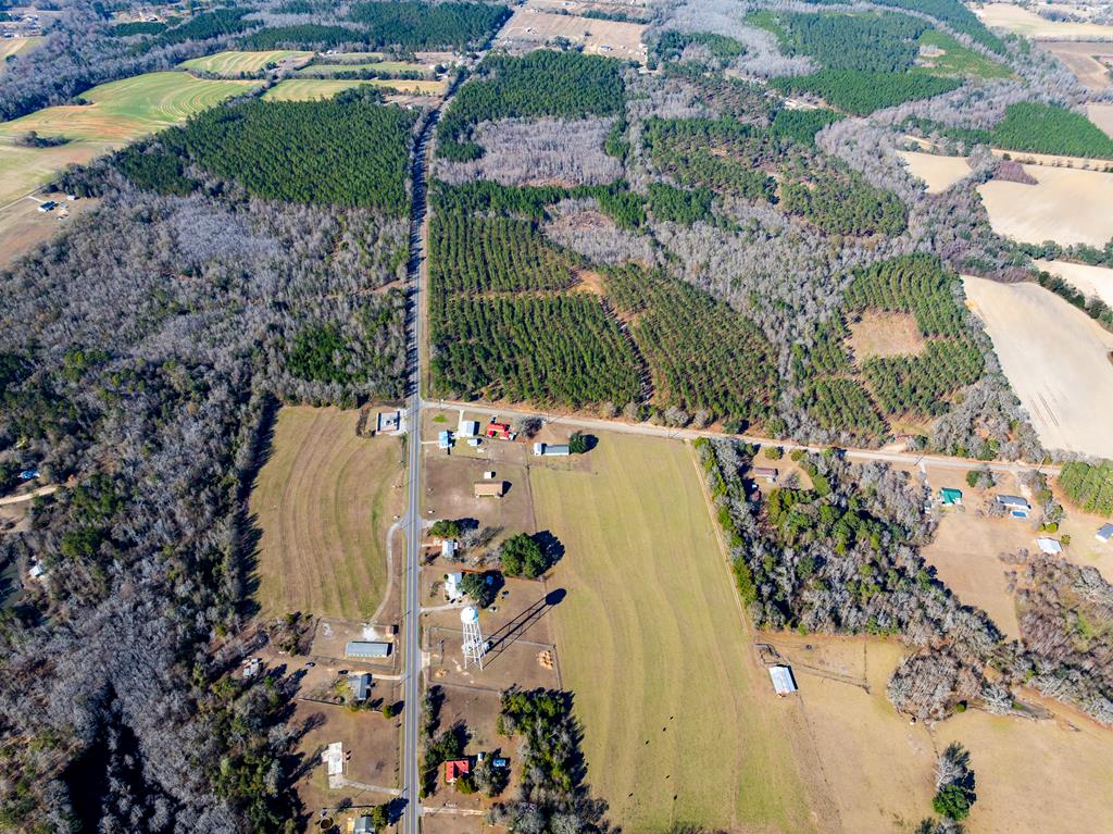 Lot 3-15 -ac Cottonwood Rd/ Phillips Road Cottonwood, AL 36320 - Photo 29 of 49