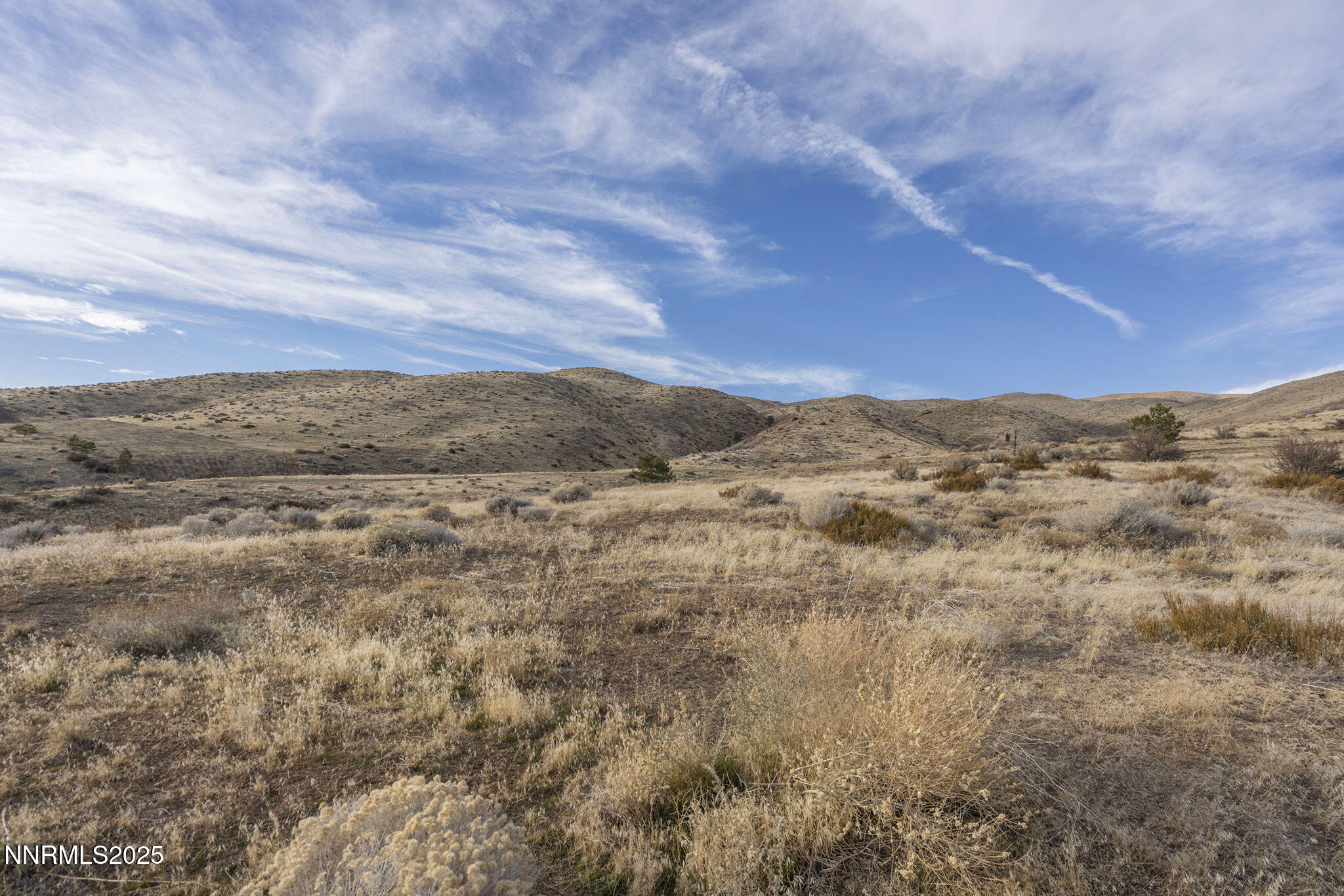 8195 Fox Meadows Court Reno, NV 89523 - Photo 9 of 15 a view of mountain