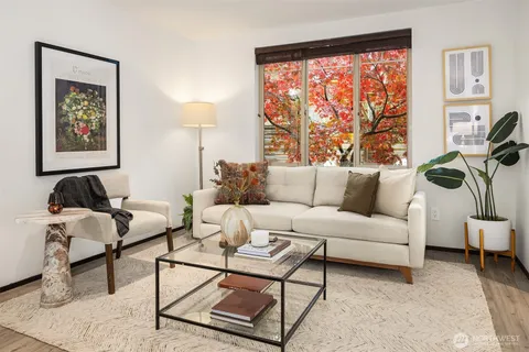 a living room with furniture plant and a window
