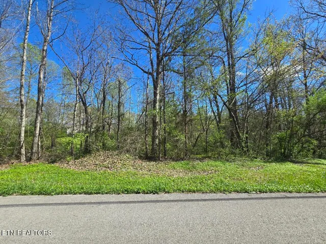 $250,000 | 467 New Light Circle, Winfield, TN 37892