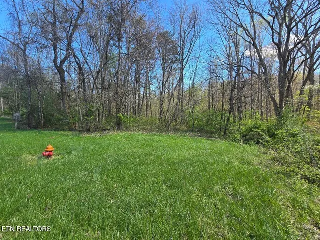 $250,000 | 467 New Light Circle, Winfield, TN 37892