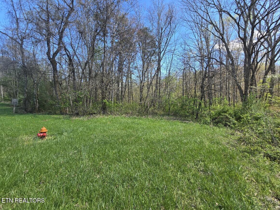 467 New Light Circle Winfield, TN 37892 - Photo 38 of 39 20250415_155739