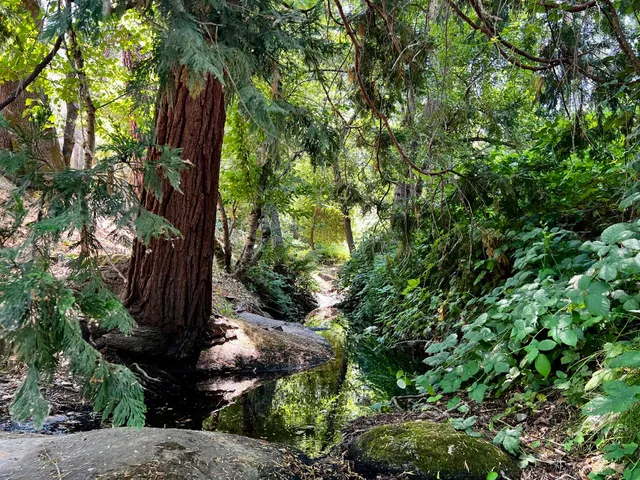 $375,000 | 2018 Whistler Way, Somerset, CA 95684