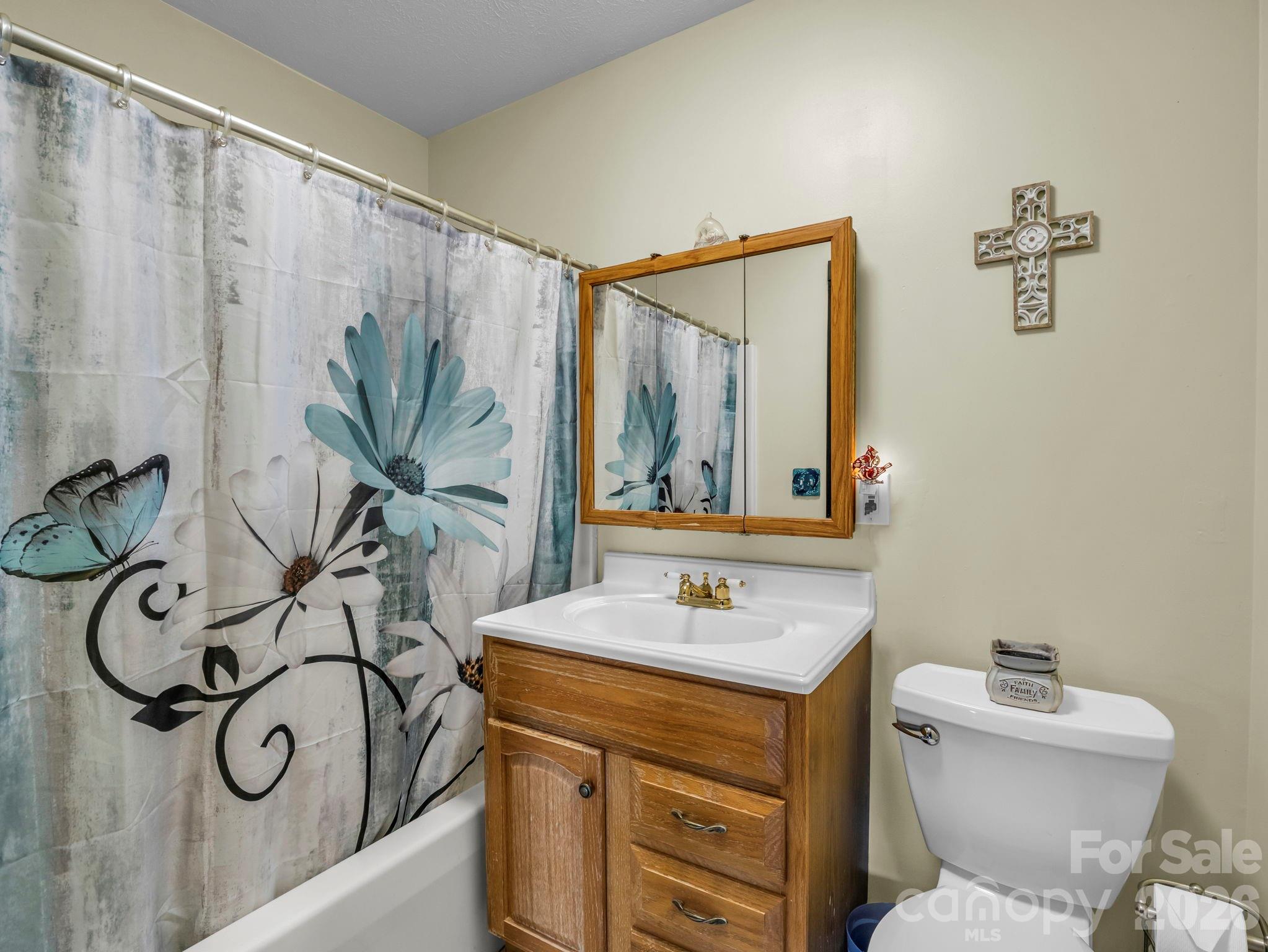 1025 Jeter Mountain Road Penrose, NC 28766 - Photo 26 of 48