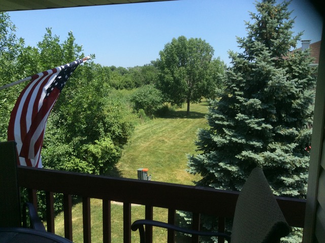 5250 Dixie Drive Alsip, IL 60803 - Photo 4 of 24