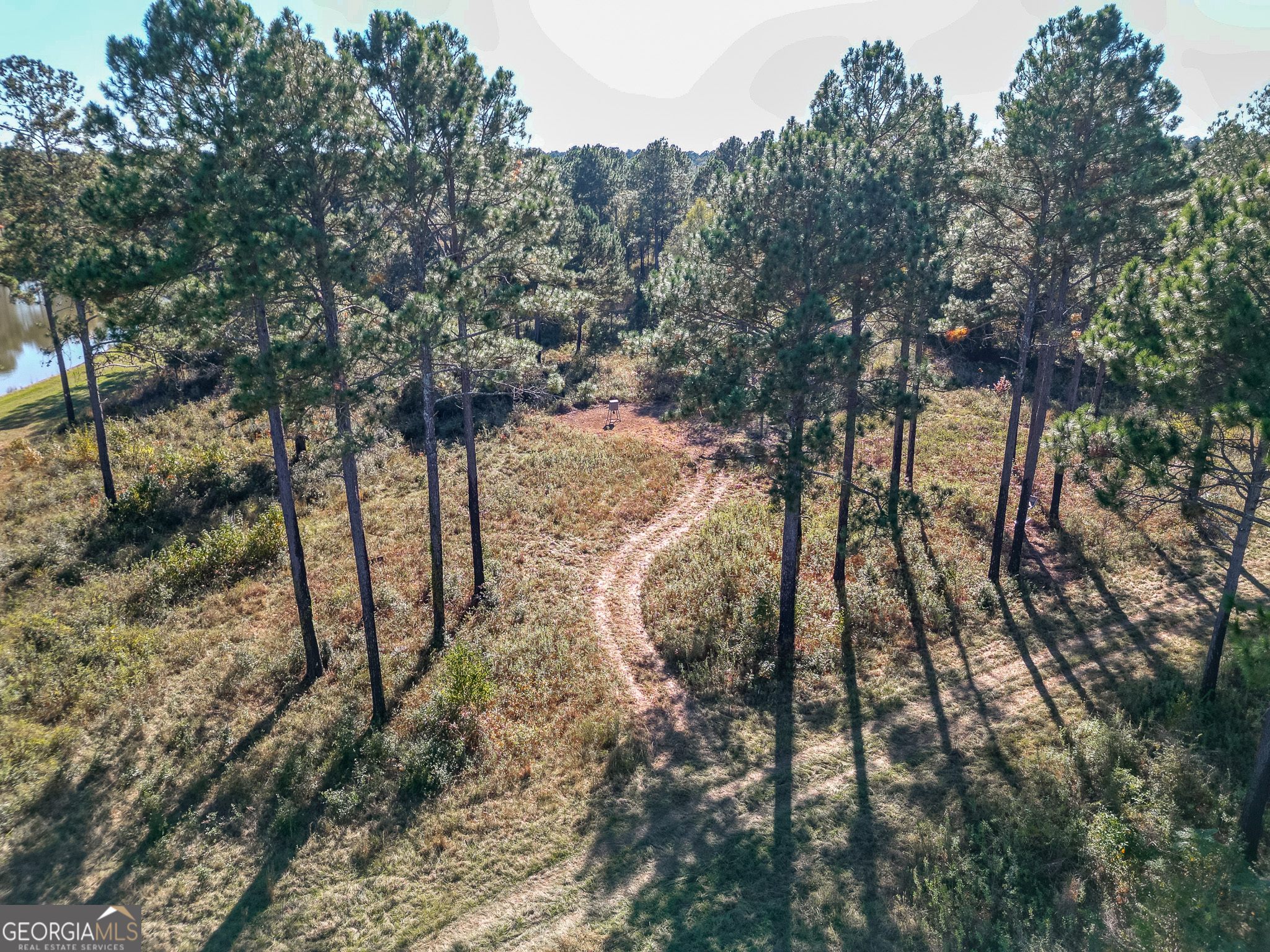 0 New York Road Leesburg, GA 31763 - Photo 12 of 19 a view of a yard with large trees
